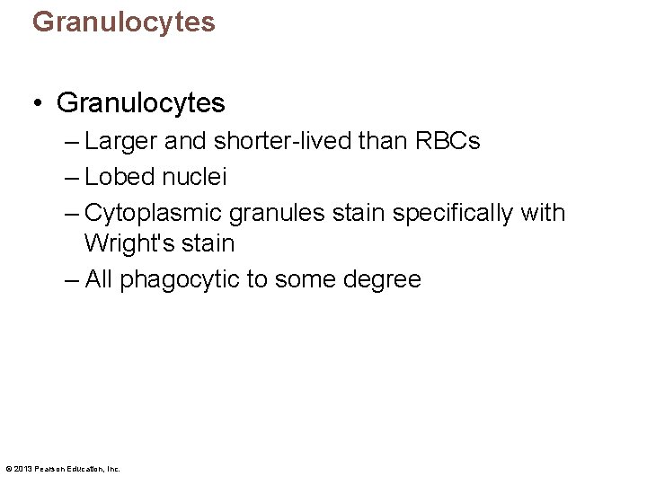 Granulocytes • Granulocytes – Larger and shorter-lived than RBCs – Lobed nuclei – Cytoplasmic