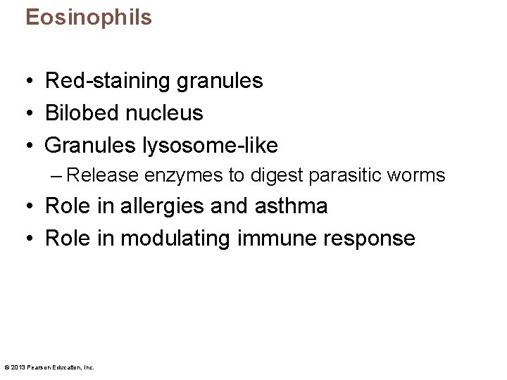 Eosinophils • Red-staining granules • Bilobed nucleus • Granules lysosome-like – Release enzymes to