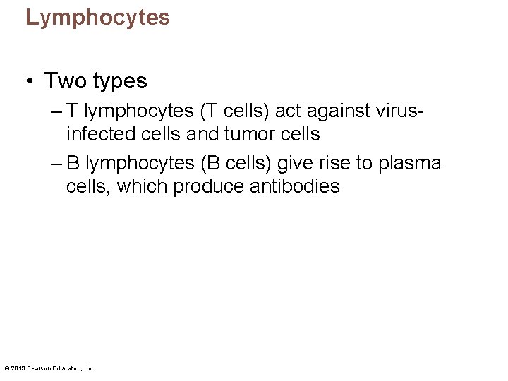 Lymphocytes • Two types – T lymphocytes (T cells) act against virusinfected cells and