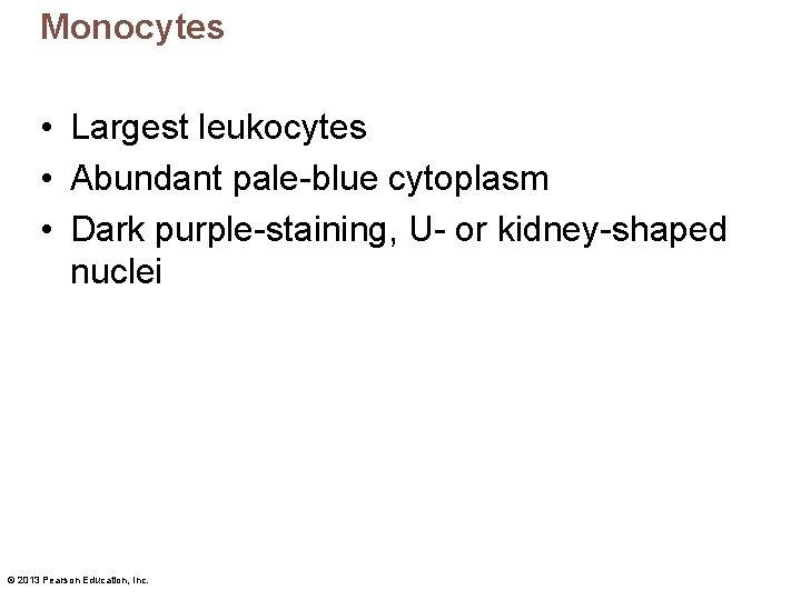 Monocytes • Largest leukocytes • Abundant pale-blue cytoplasm • Dark purple-staining, U- or kidney-shaped