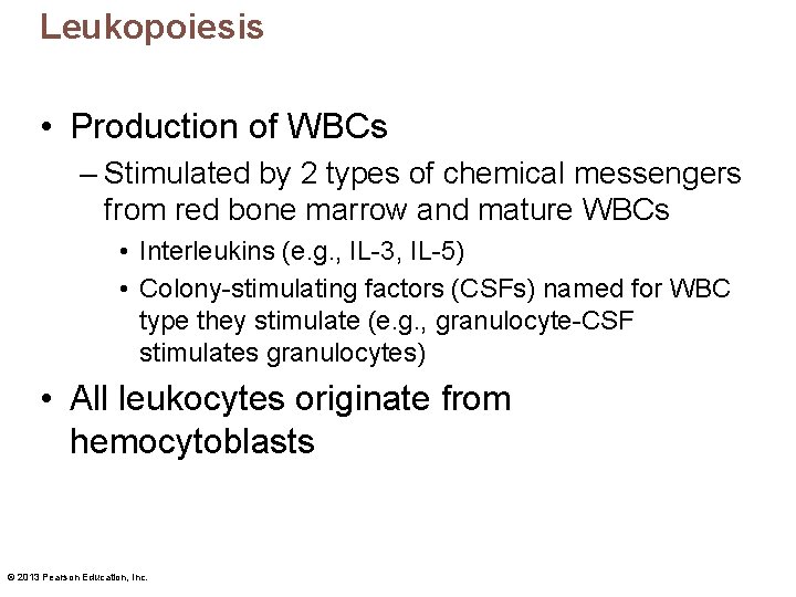 Leukopoiesis • Production of WBCs – Stimulated by 2 types of chemical messengers from
