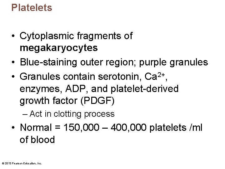 Platelets • Cytoplasmic fragments of megakaryocytes • Blue-staining outer region; purple granules • Granules