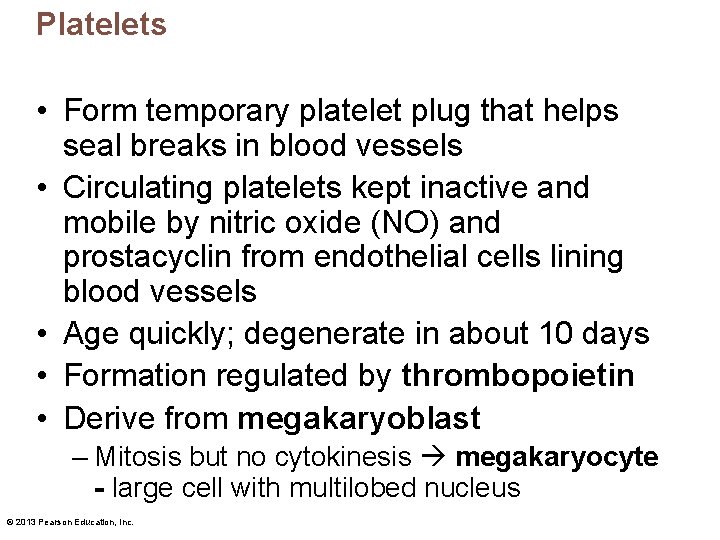 Platelets • Form temporary platelet plug that helps seal breaks in blood vessels •