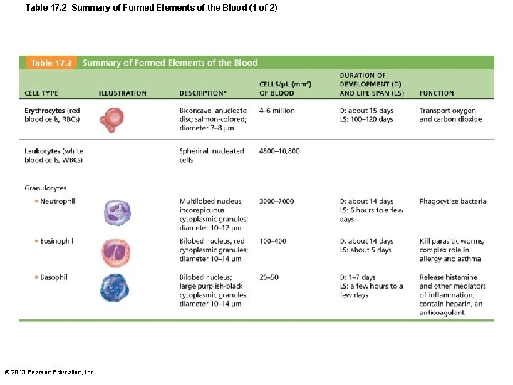 Table 17. 2 Summary of Formed Elements of the Blood (1 of 2) ©
