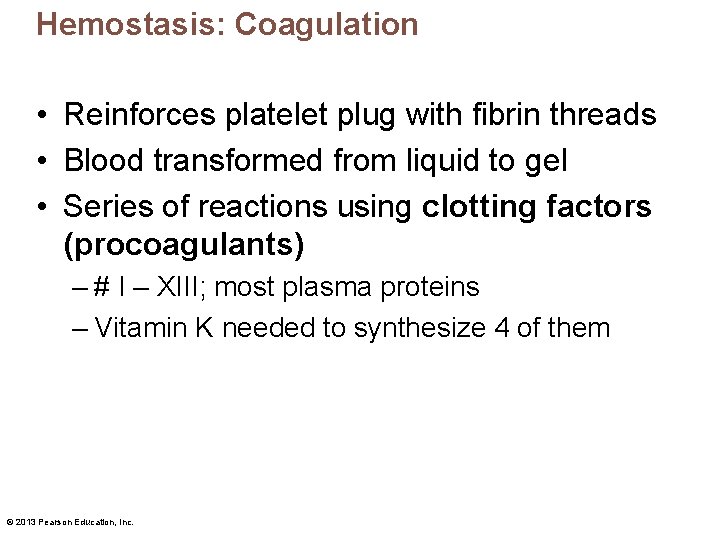 Hemostasis: Coagulation • Reinforces platelet plug with fibrin threads • Blood transformed from liquid