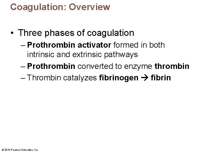 Coagulation: Overview • Three phases of coagulation – Prothrombin activator formed in both intrinsic