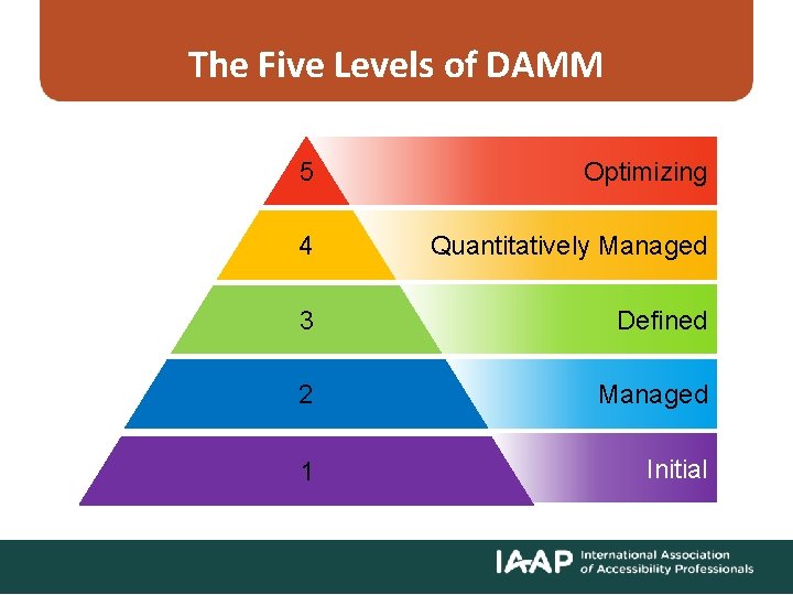 The Five Levels of DAMM 5 Optimizing 4 Quantitatively Managed 3 Defined 2 Managed