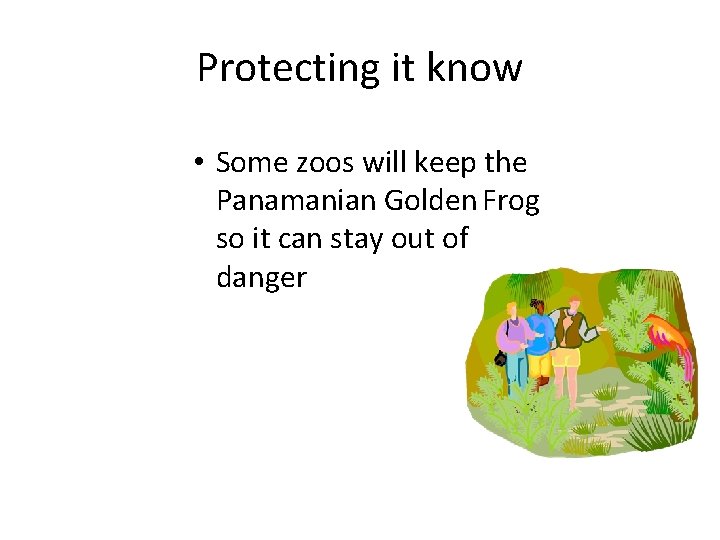 Protecting it know • Some zoos will keep the Panamanian Golden Frog so it