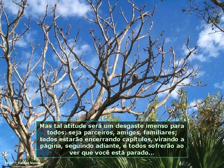 Mas tal atitude será um desgaste imenso para todos: seja parceiros, amigos, familiares; todos