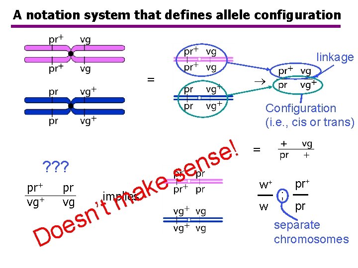 A notation system that defines allele configuration linkage = Configuration (i. e. , cis A notation system that defines allele configuration linkage = Configuration (i. e. , cis