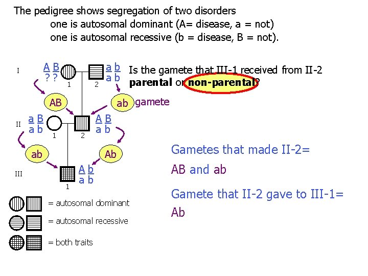The pedigree shows segregation of two disorders one is autosomal dominant (A= disease, a The pedigree shows segregation of two disorders one is autosomal dominant (A= disease, a