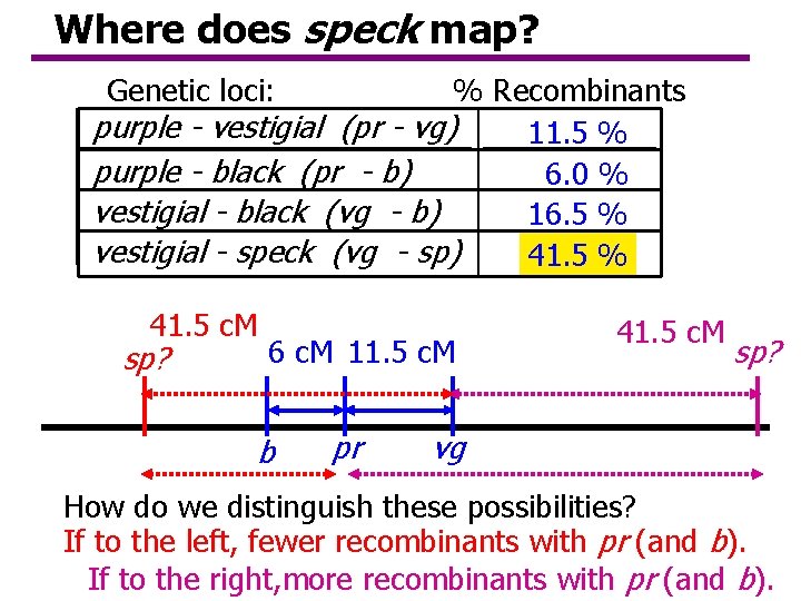 Where does speck map? Genetic loci: % Recombinants purple - vestigial (pr - vg) Where does speck map? Genetic loci: % Recombinants purple - vestigial (pr - vg)