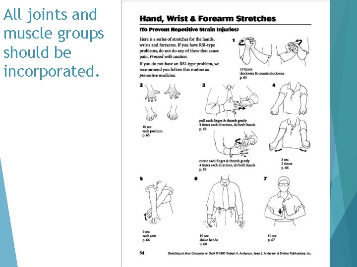 All joints and muscle groups should be incorporated. 