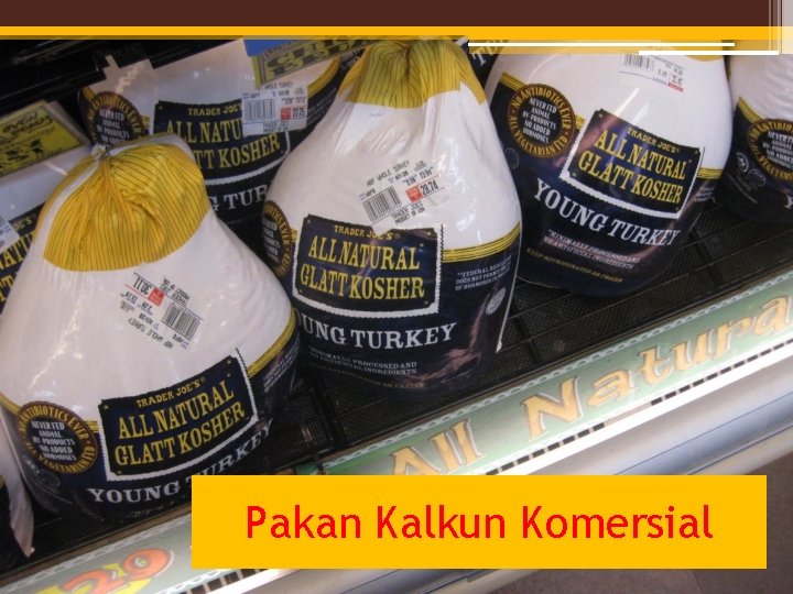 Pakan Kalkun Komersial 