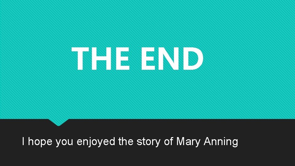 THE END I hope you enjoyed the story of Mary Anning 