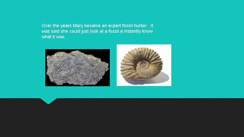 Over the years Mary became an expert fossil hunter. It was said she could