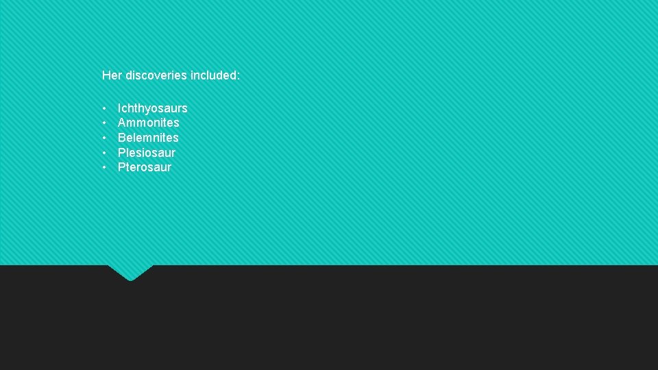 Her discoveries included: • • • Ichthyosaurs Ammonites Belemnites Plesiosaur Pterosaur 