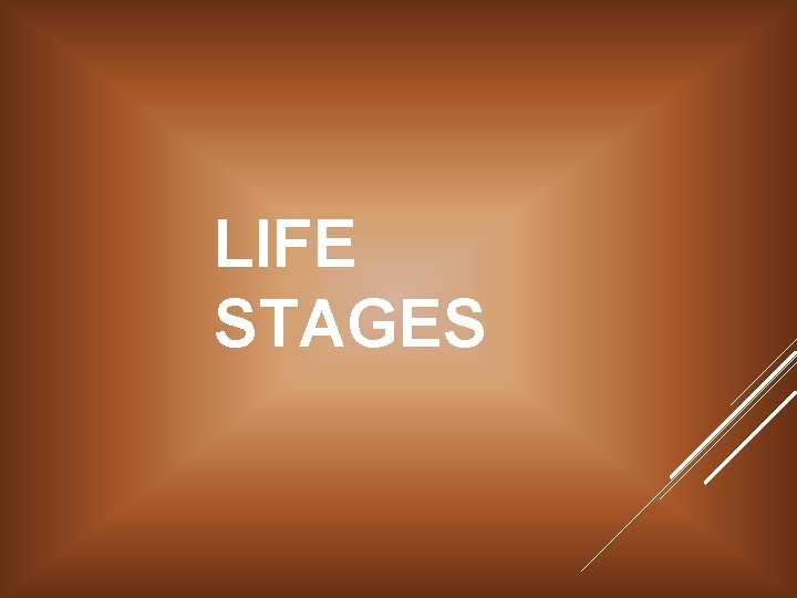 LIFE STAGES 