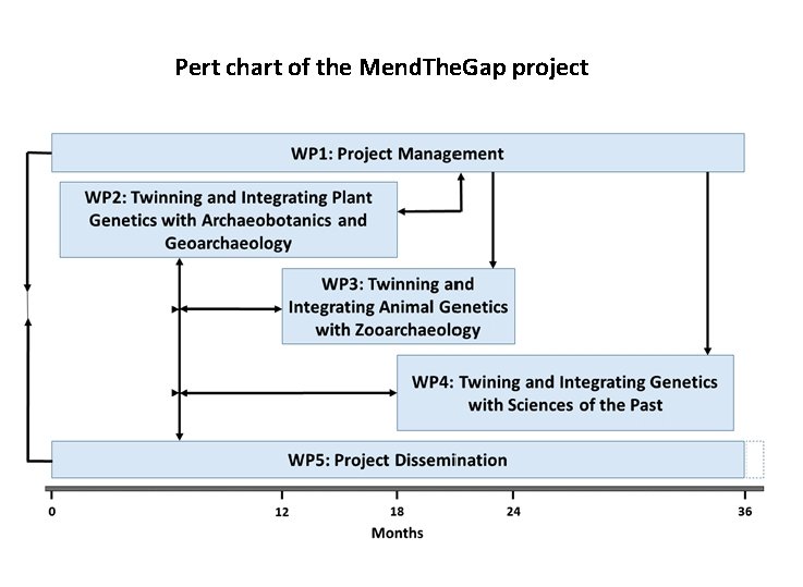 Pert chart of the Mend. The. Gap project 