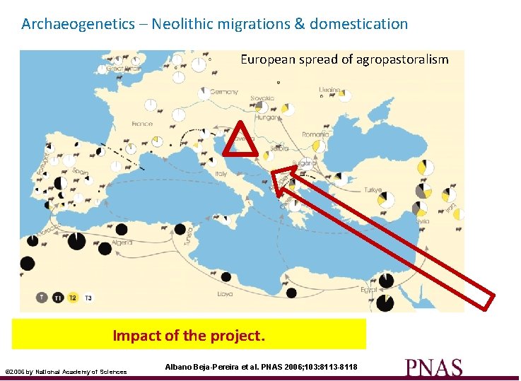 Archaeogenetics – Neolithic migrations & domestication European spread of agropastoralism ? Impact of the