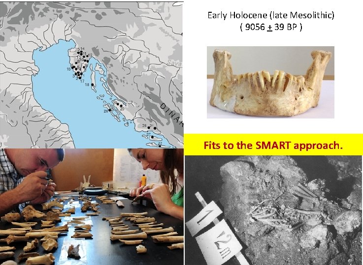 Early Holocene (late Mesolithic) ( 9056 + 39 BP ) Fits to the SMART