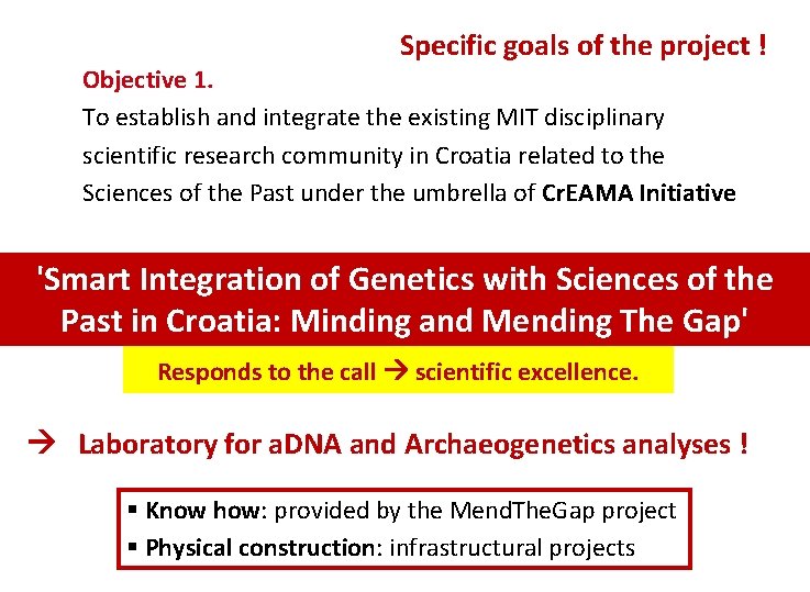 Specific goals of the project ! Objective 1. To establish and integrate the existing
