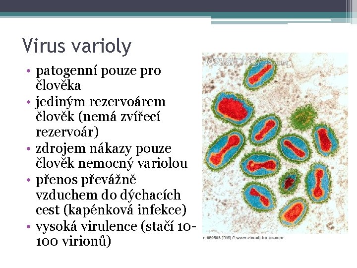 Virus varioly • patogenní pouze pro člověka • jediným rezervoárem člověk (nemá zvířecí rezervoár)