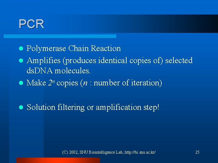 PCR Polymerase Chain Reaction l Amplifies (produces identical copies of) selected ds. DNA molecules.