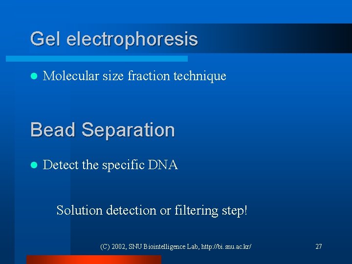 Gel electrophoresis l Molecular size fraction technique Bead Separation l Detect the specific DNA