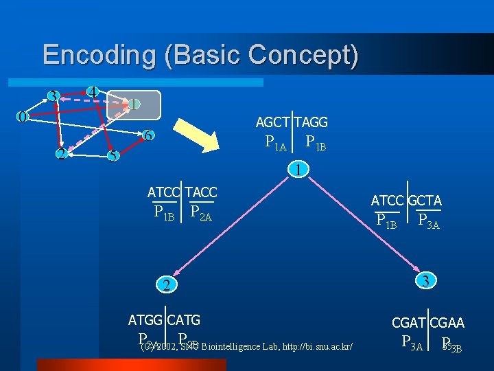 Encoding (Basic Concept) 4 3 1 0 AGCT TAGG 6 2 P 1 A