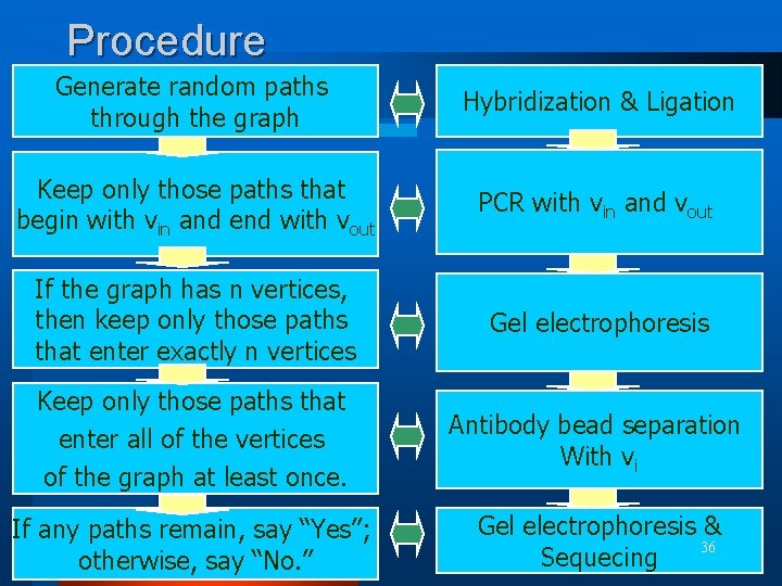 Procedure Generate random paths through the graph Hybridization & Ligation Keep only those paths