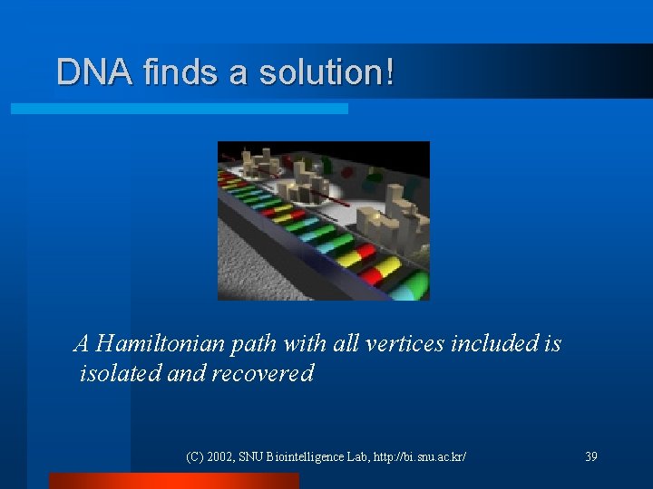 DNA finds a solution! A Hamiltonian path with all vertices included is isolated and