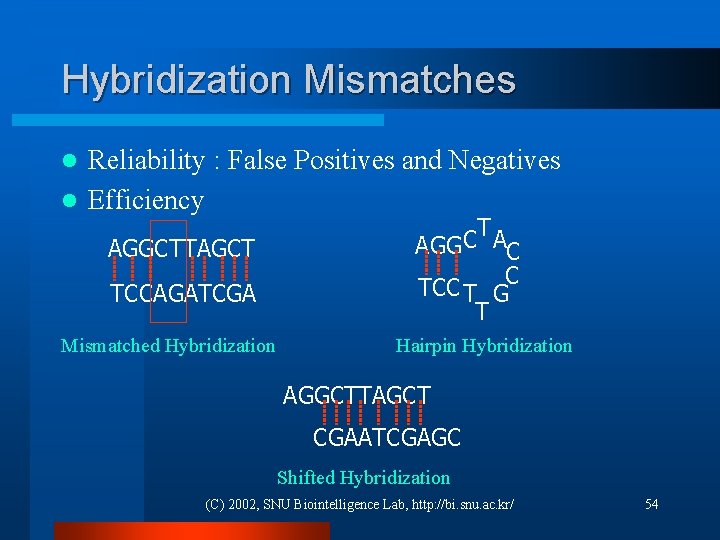 Hybridization Mismatches Reliability : False Positives and Negatives l Efficiency l AGGCTTAGCT TCCAGATCGA Mismatched