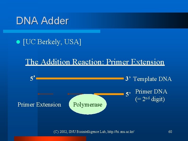 DNA Adder l [UC Berkely, USA] The Addition Reaction: Primer Extension 5’ 3’ Template