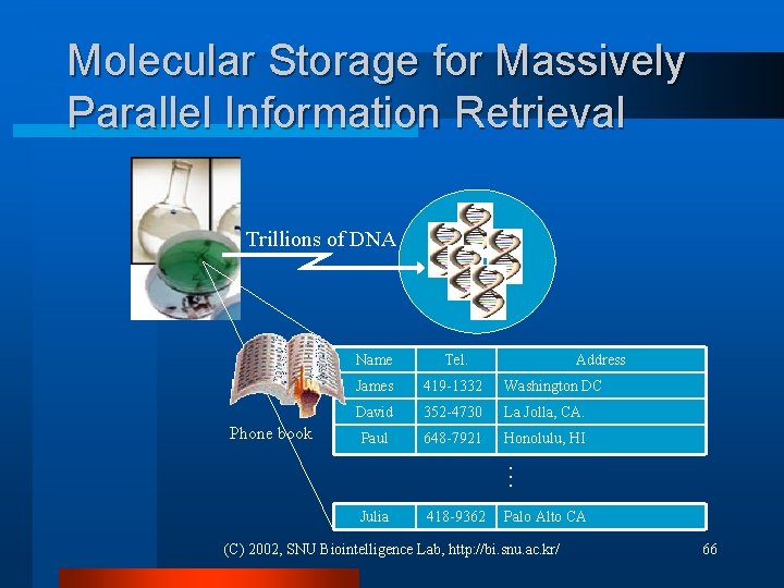 Molecular Storage for Massively Parallel Information Retrieval Trillions of DNA Phone book Tel. Address
