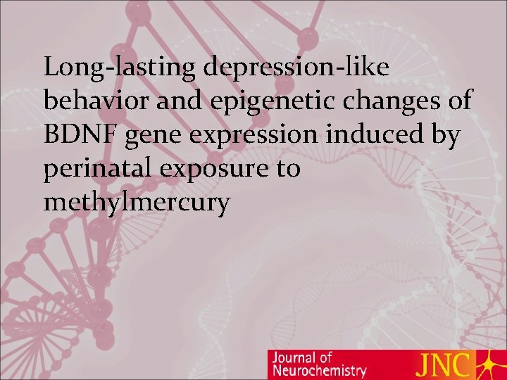 Long-lasting depression-like behavior and epigenetic changes of BDNF gene expression induced by perinatal exposure