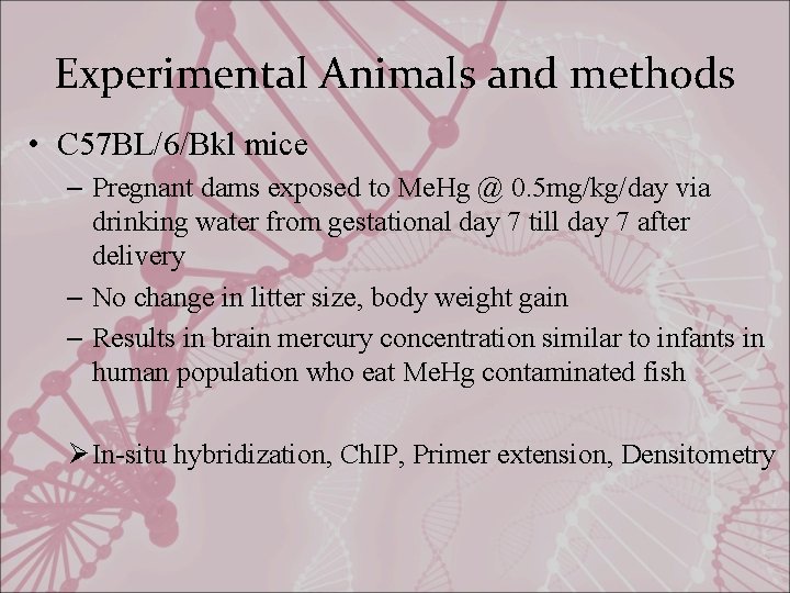 Experimental Animals and methods • C 57 BL/6/Bkl mice – Pregnant dams exposed to