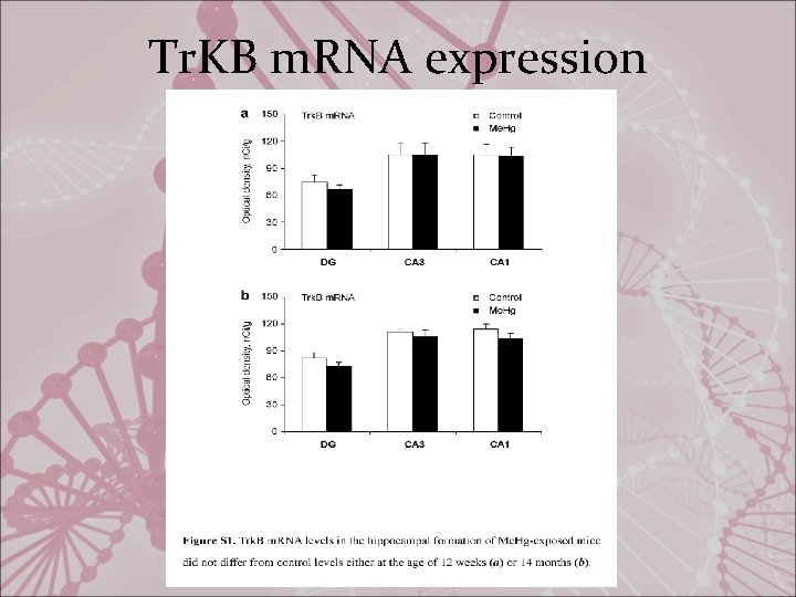 Tr. KB m. RNA expression 