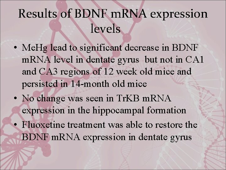 Results of BDNF m. RNA expression levels • Me. Hg lead to significant decrease