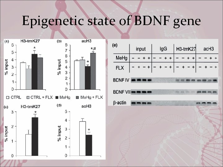 Epigenetic state of BDNF gene 