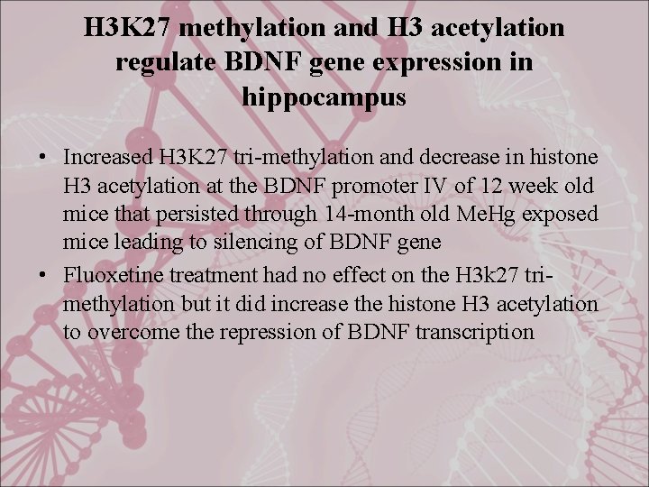 H 3 K 27 methylation and H 3 acetylation regulate BDNF gene expression in