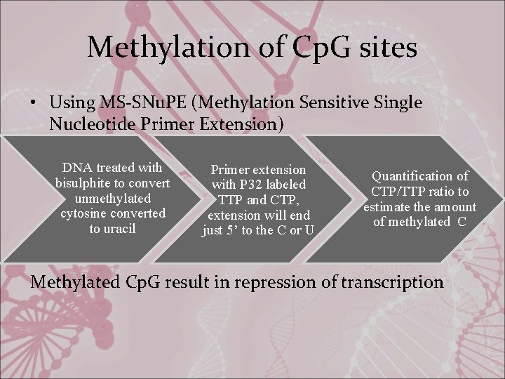 Methylation of Cp. G sites • Using MS-SNu. PE (Methylation Sensitive Single Nucleotide Primer