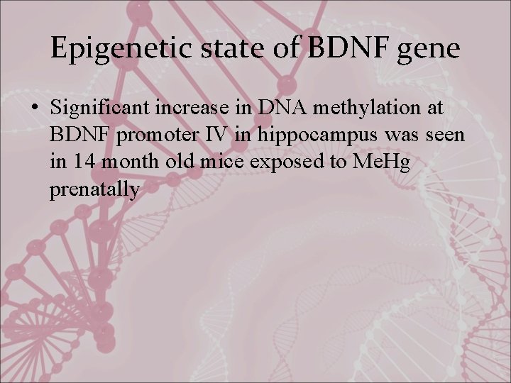 Epigenetic state of BDNF gene • Significant increase in DNA methylation at BDNF promoter