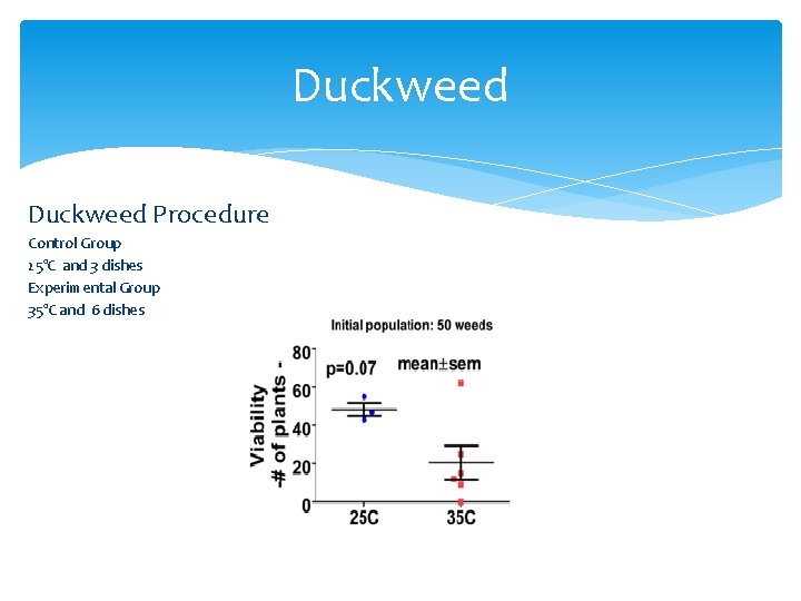 Duckweed Procedure Control Group 25°C and 3 dishes Experimental Group 35°C and 6 dishes