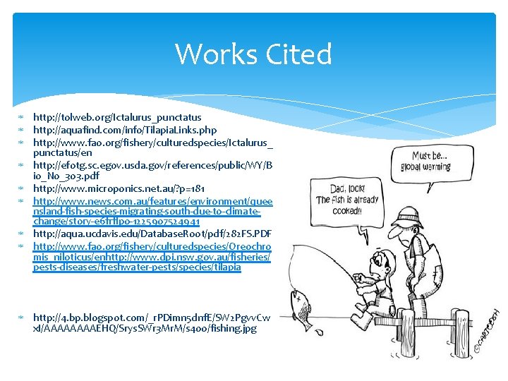 Works Cited http: //tolweb. org/Ictalurus_punctatus http: //aquafind. com/info/Tilapia. Links. php http: //www. fao. org/fishery/culturedspecies/Ictalurus_