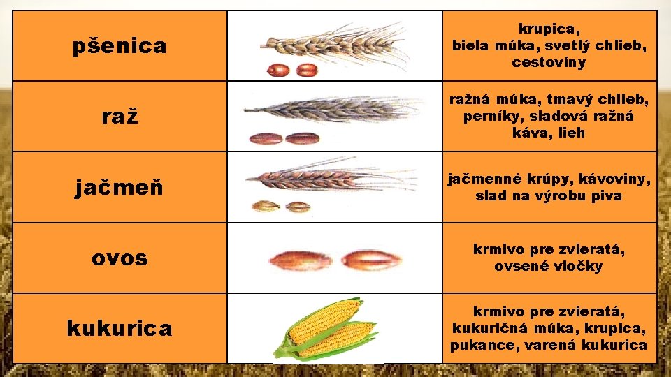 pšenica krupica, biela múka, svetlý chlieb, cestovíny ražná múka, tmavý chlieb, perníky, sladová ražná