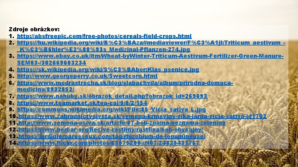 Zdroje obrázkov: 1. http: //absfreepic. com/free-photos/cereals-field-crops. html 2. https: //hu. wikipedia. org/wiki/B%C 3%BAza#mediaviewer/F%C 3%A