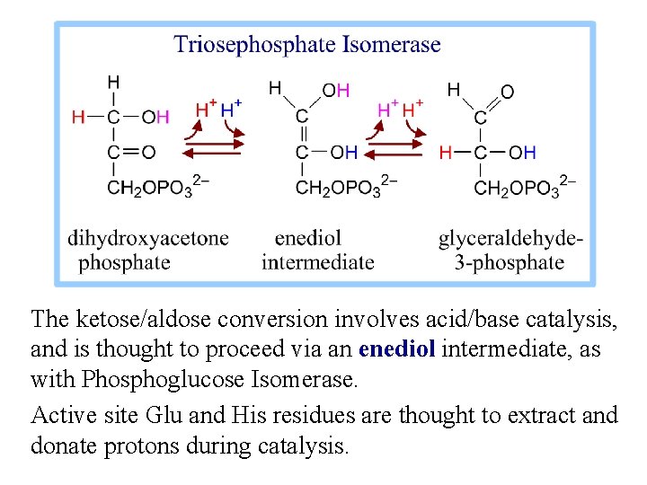 The ketose/aldose conversion involves acid/base catalysis, and is thought to proceed via an enediol