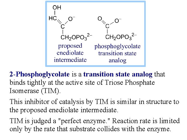 2 -Phosphoglycolate is a transition state analog that binds tightly at the active site