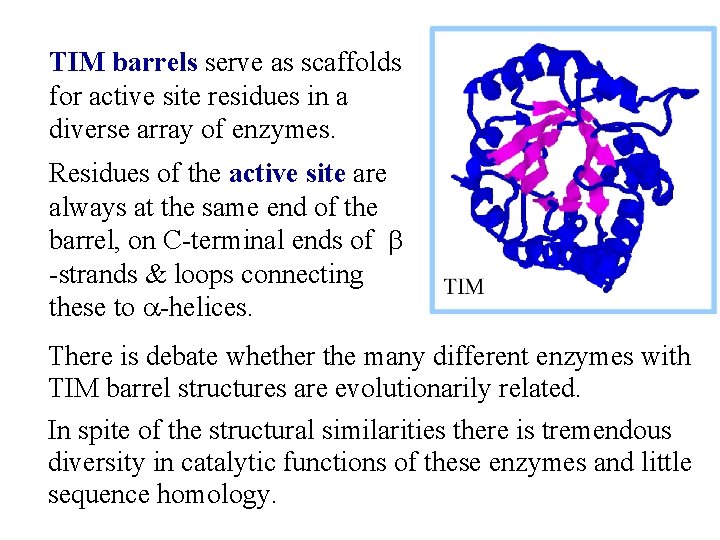 TIM barrels serve as scaffolds for active site residues in a diverse array of